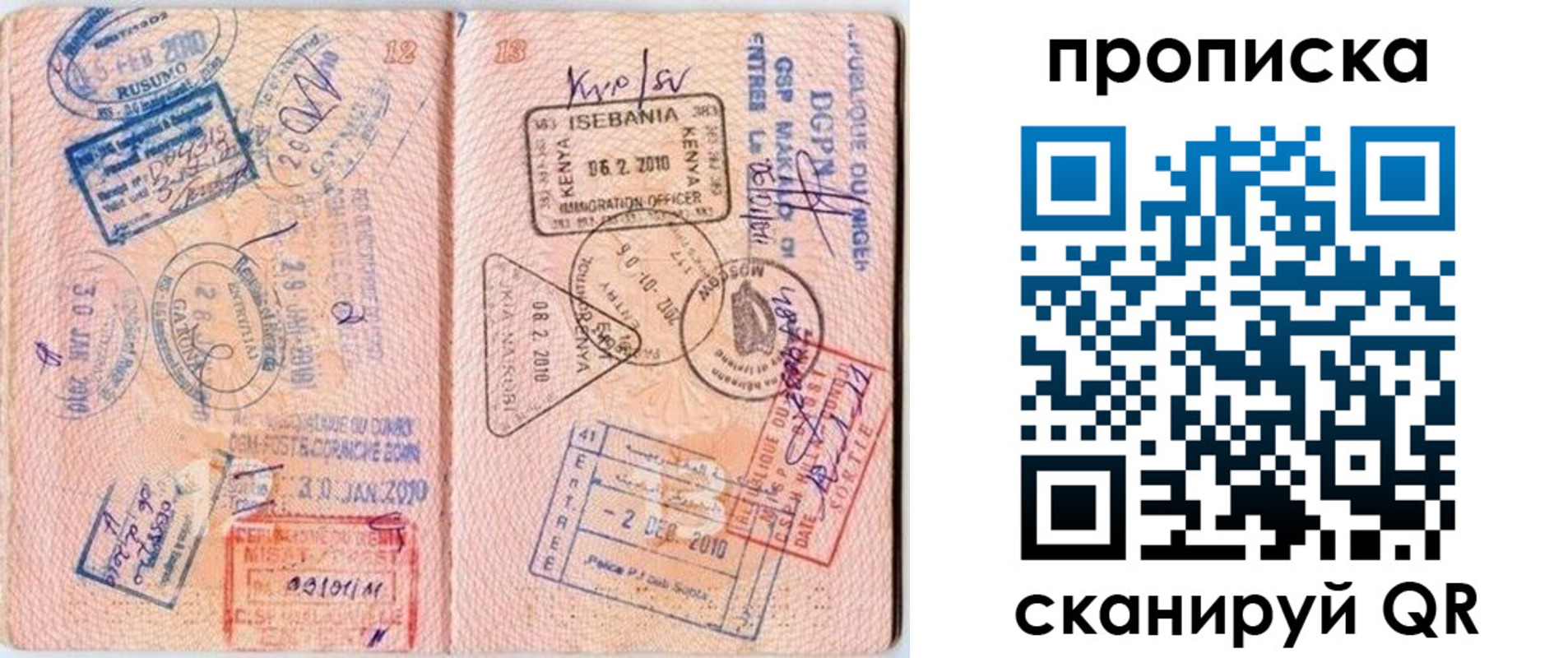 прописка для школы в Ясногорске